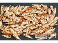 Чешуйки CR143 Малёк, 12,4 х 4 мм., медь, 500 шт.